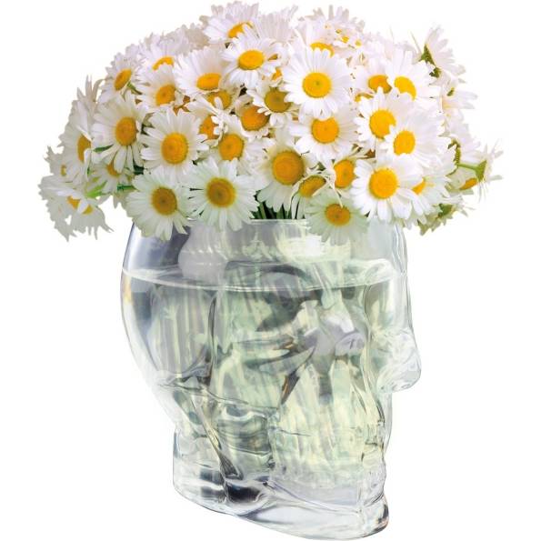 Skleněná váza lebka Skull - Invotis