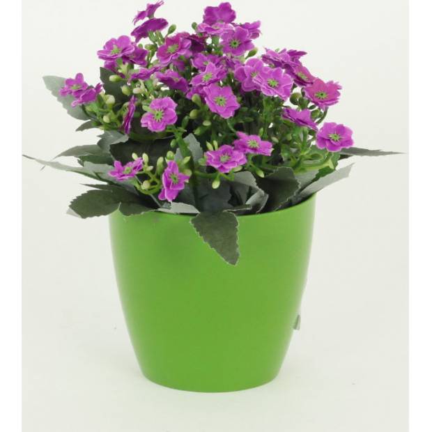 Kalanchoe umělá v květináči, fialová  barva 1-0054A-2 Art